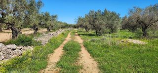 Terreno en venta en Roquetes