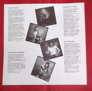 SINNER - DANGER ZONE Vinilo Color