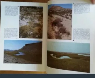 2 libros variados, a 35 € cada uno