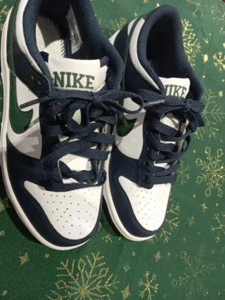 Deportivas Nike Dunk Low(puesta solo una vez)