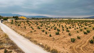 Terreno en venta en Pinós