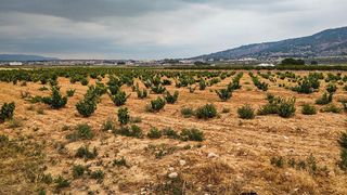 Terreno en venta en Pinós
