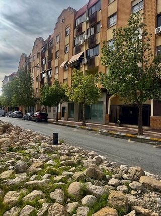 Piso en alquiler en Centro en San Vicente del Raspeig/Sant Vicent del Raspeig