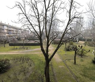 Estudio en alquiler en Parque de la Coruña - Las Suertes en Collado Villalba
