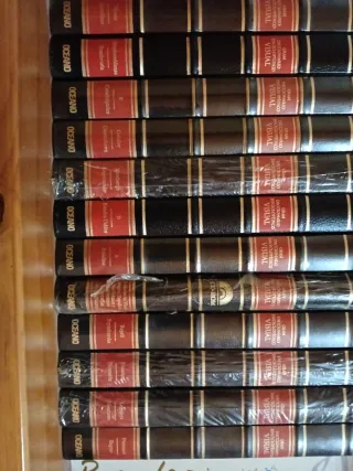 Diccionario Enciclopédico visua