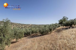 Terreno en venta en Montefrío