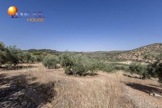 Terreno en venta en Montefrío