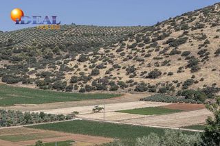 Terreno en venta en Montefrío