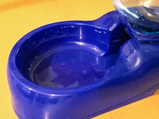 Bebedero para perros azul
