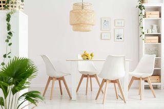 Sedia Nordica Imbottita Polipropilene Legno Bianca