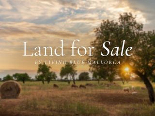 Solar en venta en Campos