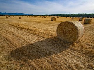 Solar en venta en Campos