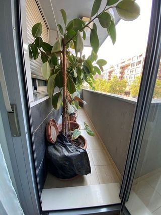 Piso en venta en Este en Castellón de la Plana