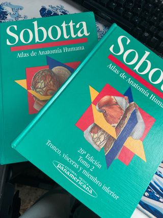 Oxford Anatomy (Spanish Edition)