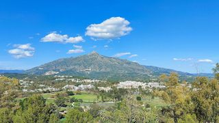 Oficina en alquiler en Los Naranjos - Las Brisas en Marbella