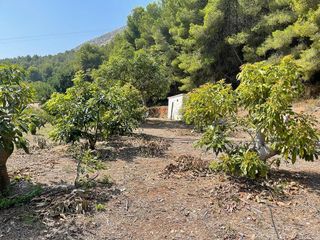 Terreno en venta en Callosa d´En Sarrià