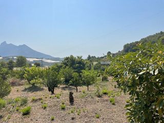 Terreno en venta en Callosa d´En Sarrià