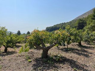 Terreno en venta en Callosa d´En Sarrià