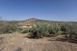 Terreno en venta en Montefrío