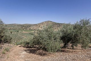 Terreno en venta en Montefrío