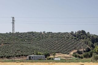 Terreno en venta en Montefrío