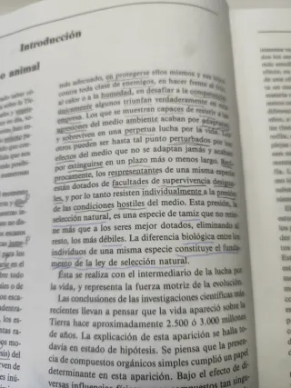 Animales, fauna de todo el mundo