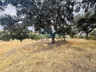 Terreno en venta en Puerta de Cuartos - Avda. de Portugal en Talavera de la Reina