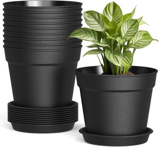 Lotes de 50 macetas plástico