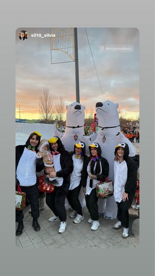 Costumi gonfiabili orso e pinguini