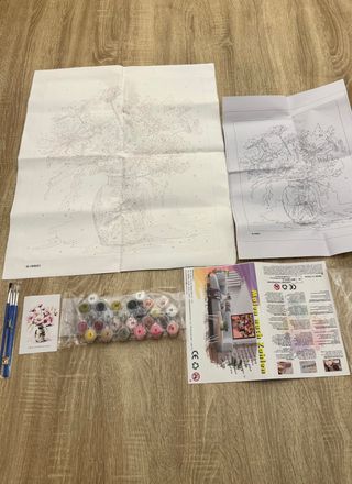 Kit di Pittura Colori Acrilici con i numeri 40*50