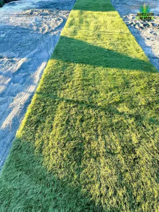 Césped artificial reciclado