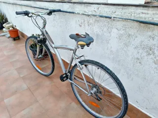 Bicicleta plateada