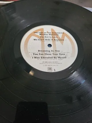 Vinilo Richie Havens - The End of the Beginning
