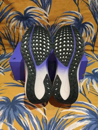 T. 40 Zapatillas W Nike Air Zoom Pegasus 41 EK