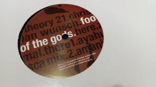 Lote Vinili Techno Incompleti