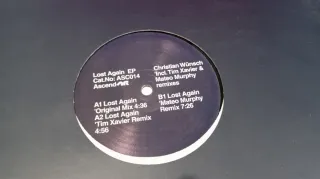 Lote Vinili Techno Incompleti