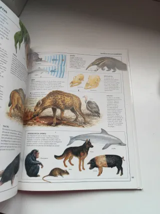 Los Seres Vivos (Enciclopedia Visual)