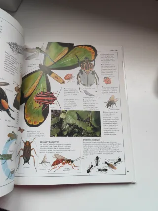 Los Seres Vivos (Enciclopedia Visual)