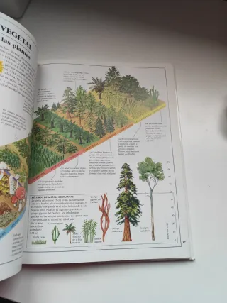 Los Seres Vivos (Enciclopedia Visual)