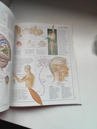 Los Seres Vivos (Enciclopedia Visual)