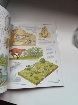 Los Seres Vivos (Enciclopedia Visual)