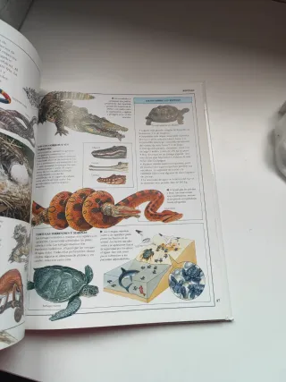 Los Seres Vivos (Enciclopedia Visual)