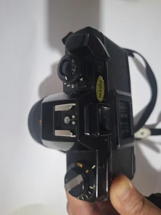 Contax 139 Quarz + Carl Zeiss Planar 50mm f/1.4