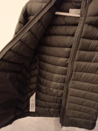 Plumas fino Mango niño verde T.13/14