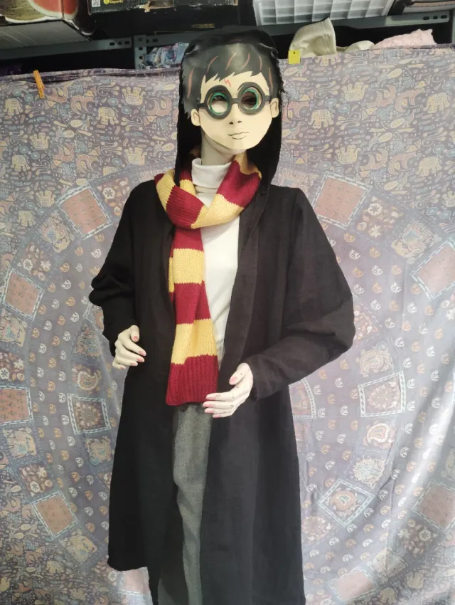 Disfraz Harry Potter