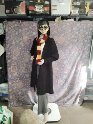 Disfraz Harry Potter