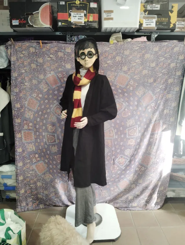 Disfraz Harry Potter