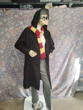 Disfraz Harry Potter