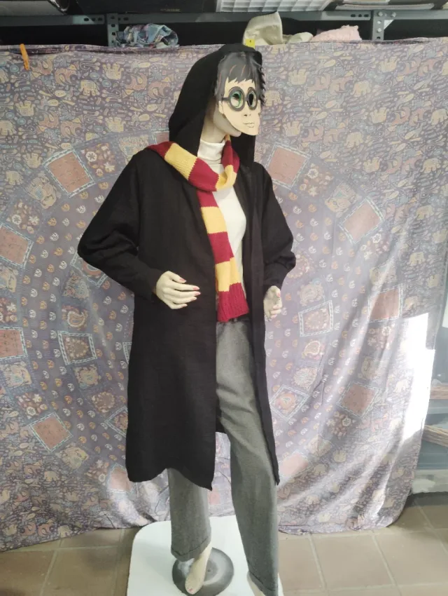 Disfraz Harry Potter