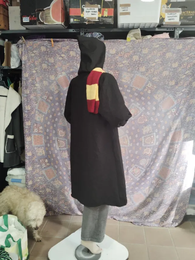 Disfraz Harry Potter